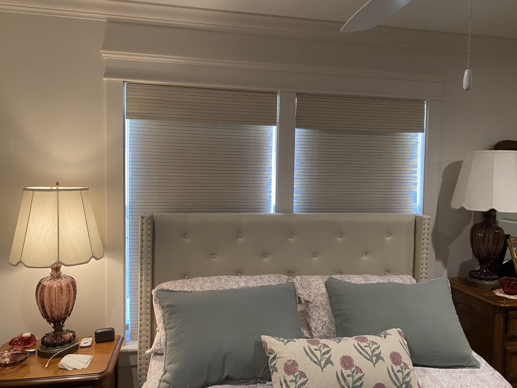 Shades, Blinds, and Motorization