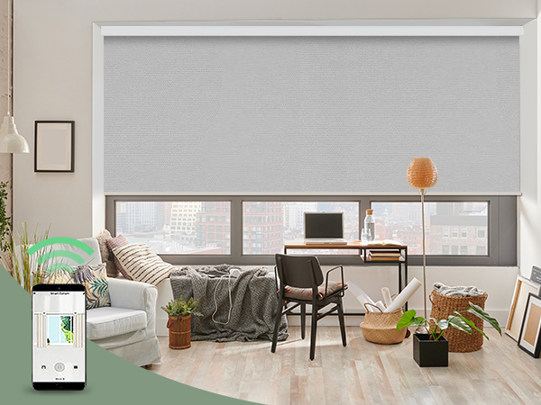 Motorization Services