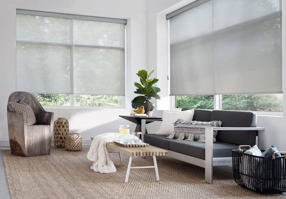 Roller Shades & Screen Shades