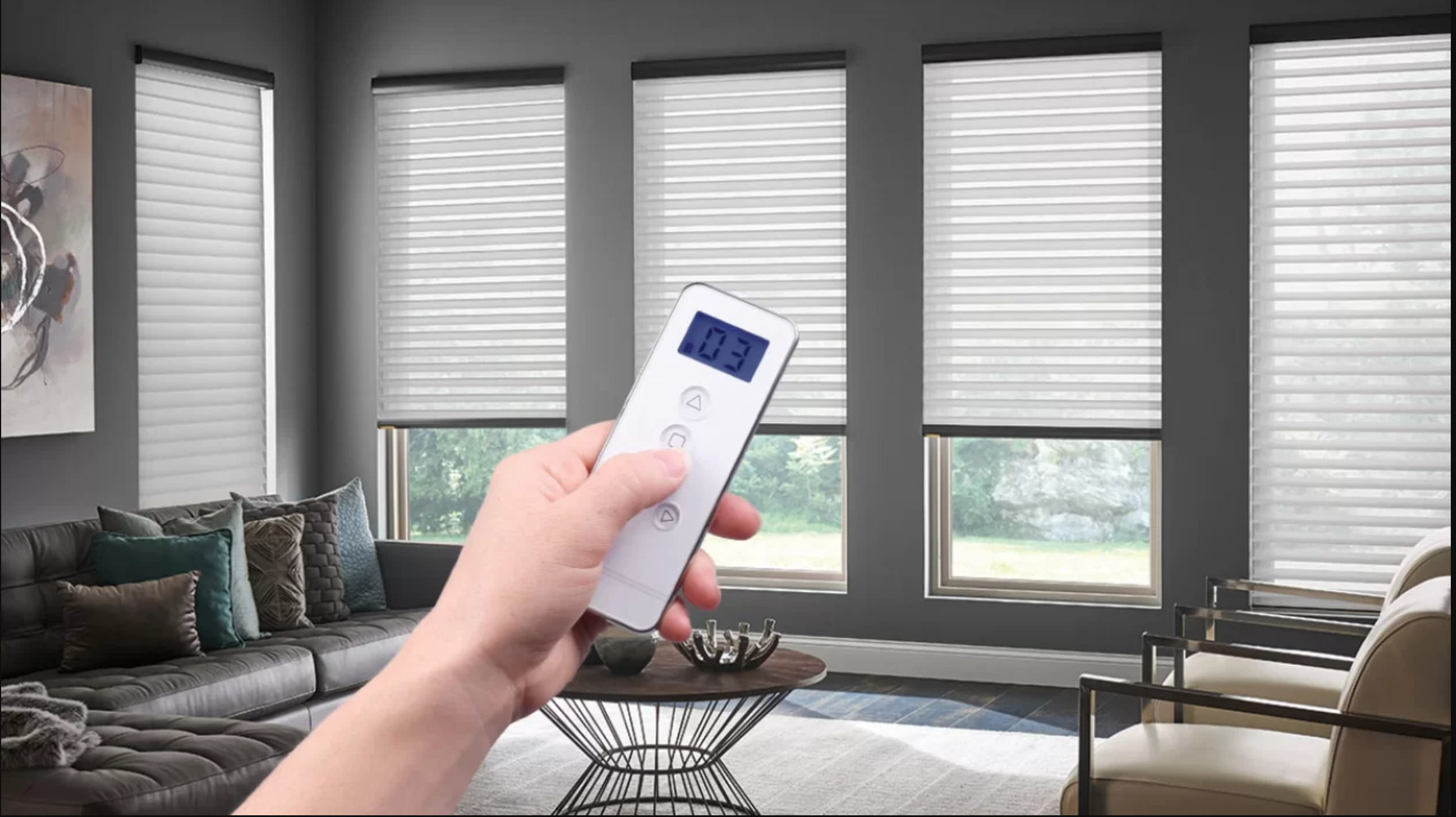 Shades, Blinds, & Motorization