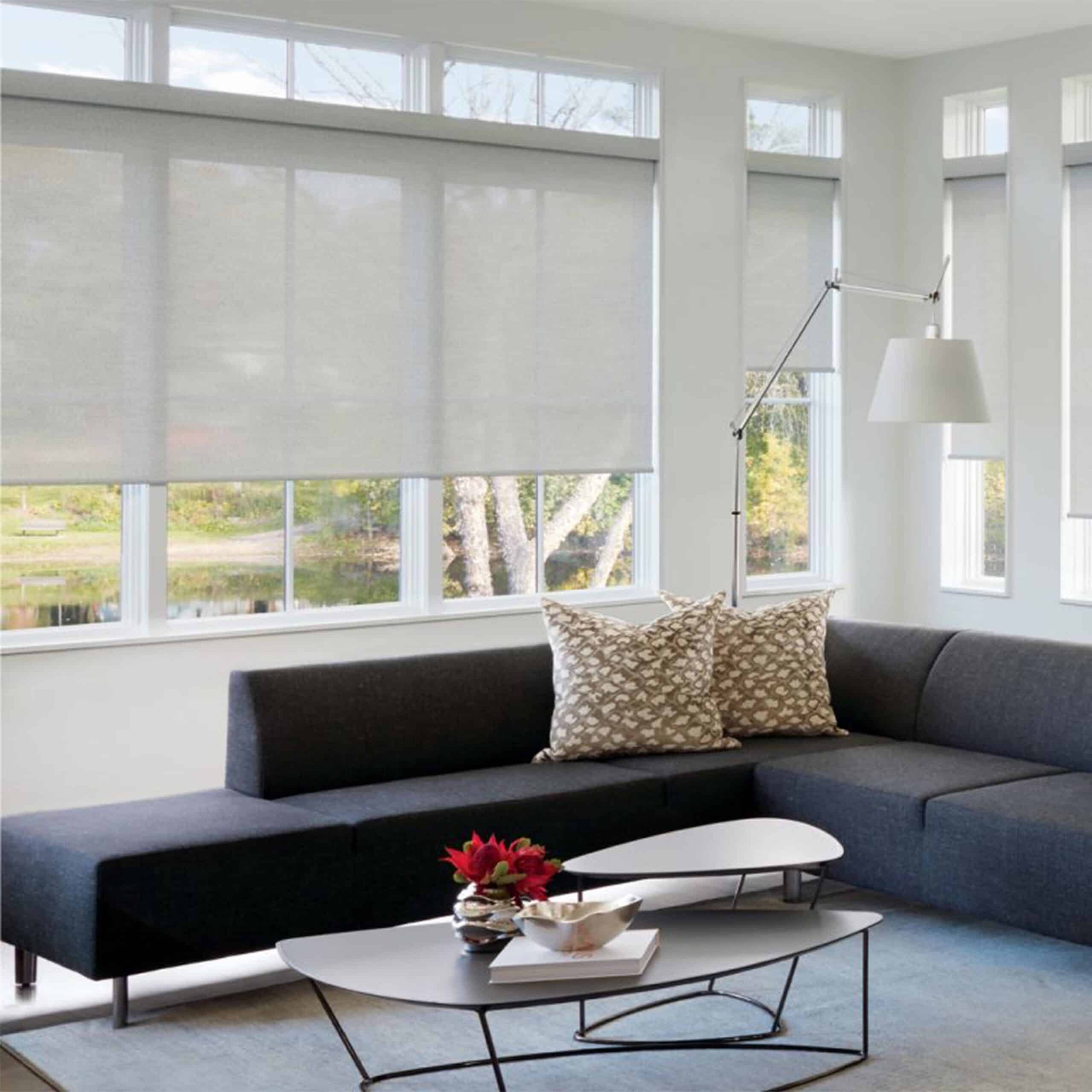 Roller Shades & Screen Shades