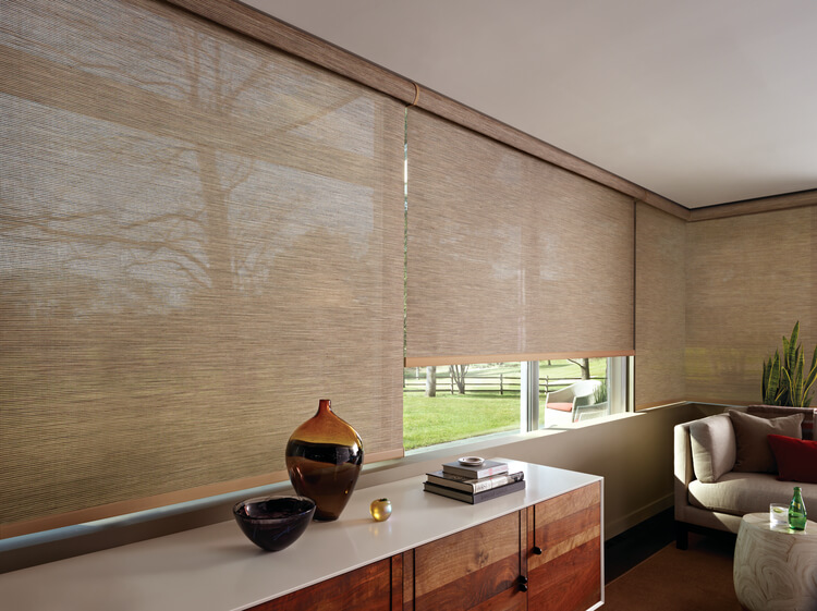 Roller Shades & Screen Shades